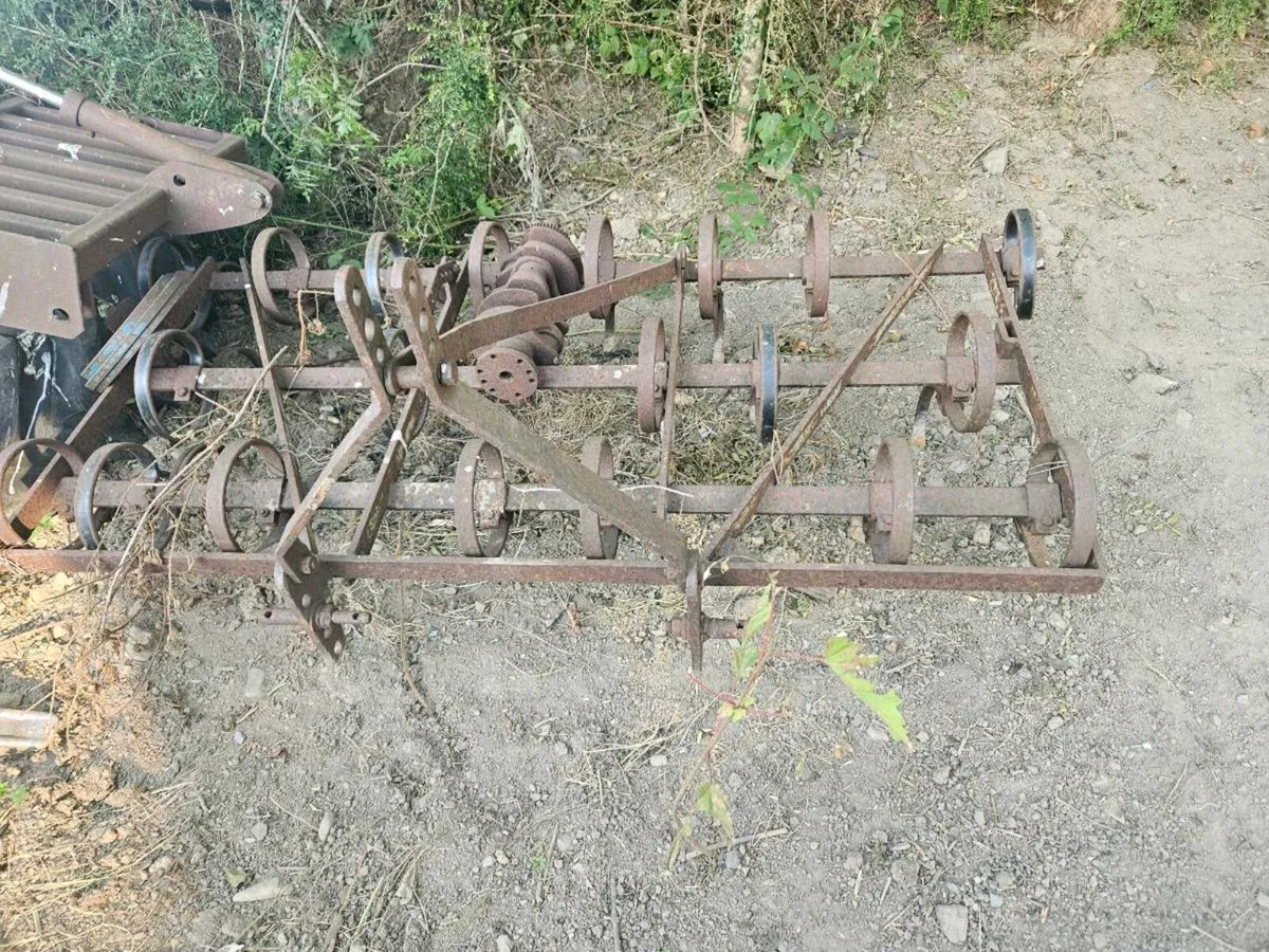 farm yard clear out - Image 4