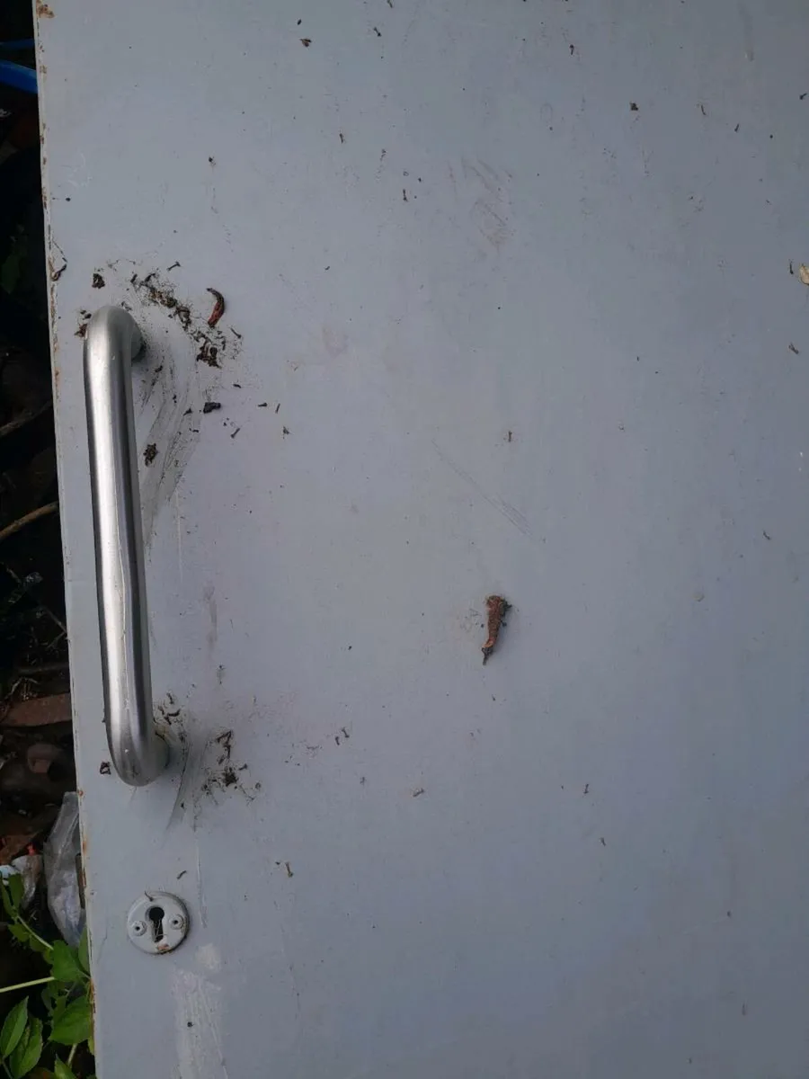 Security door - Image 3