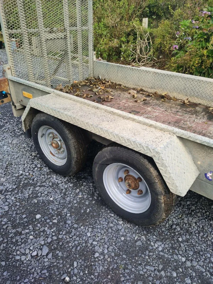 2018 Indespension 8ft2x4ft2 plant trailer - Image 3