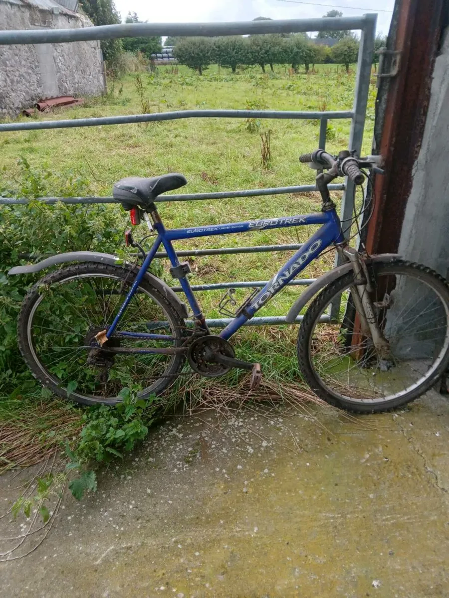 Bicycles - Image 2