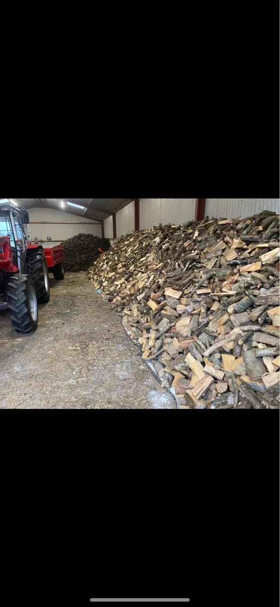 Firewood - Image 1