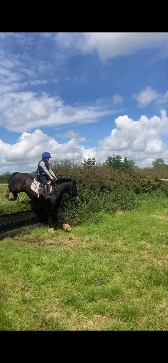Pony - Image 1