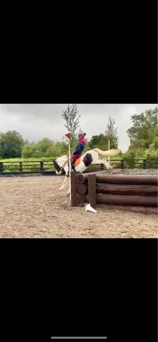 🐴💃🏼 Gowan our Tina💃🏼🐴 - Image 2