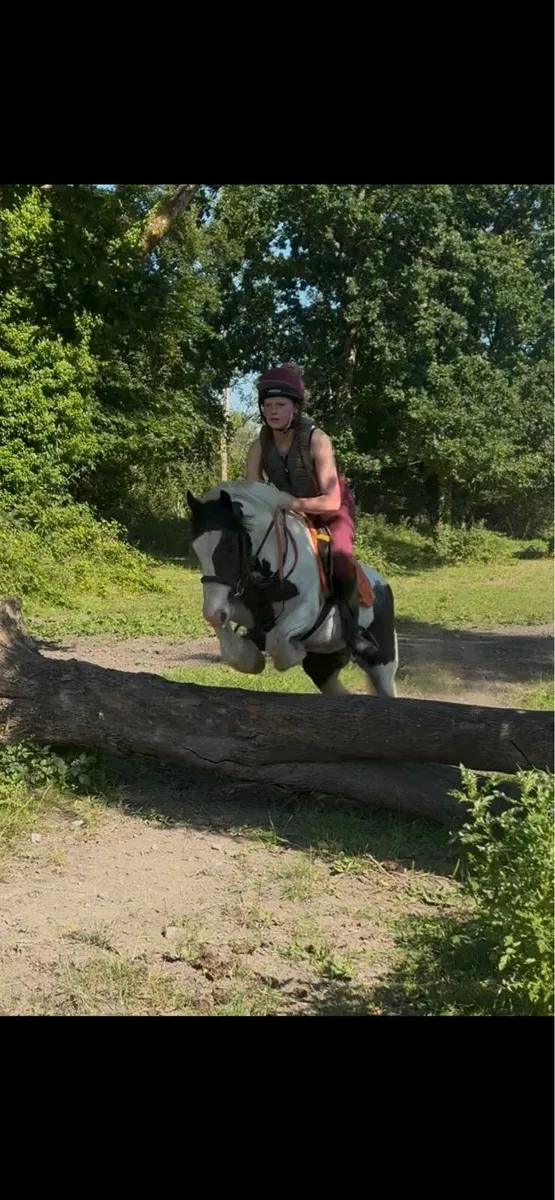 🐴💃🏼 Gowan our Tina💃🏼🐴 - Image 3