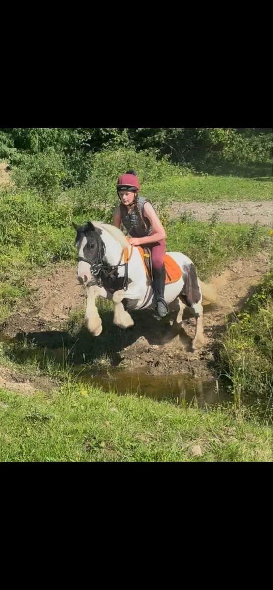 🐴💃🏼 Gowan our Tina💃🏼🐴 - Image 4