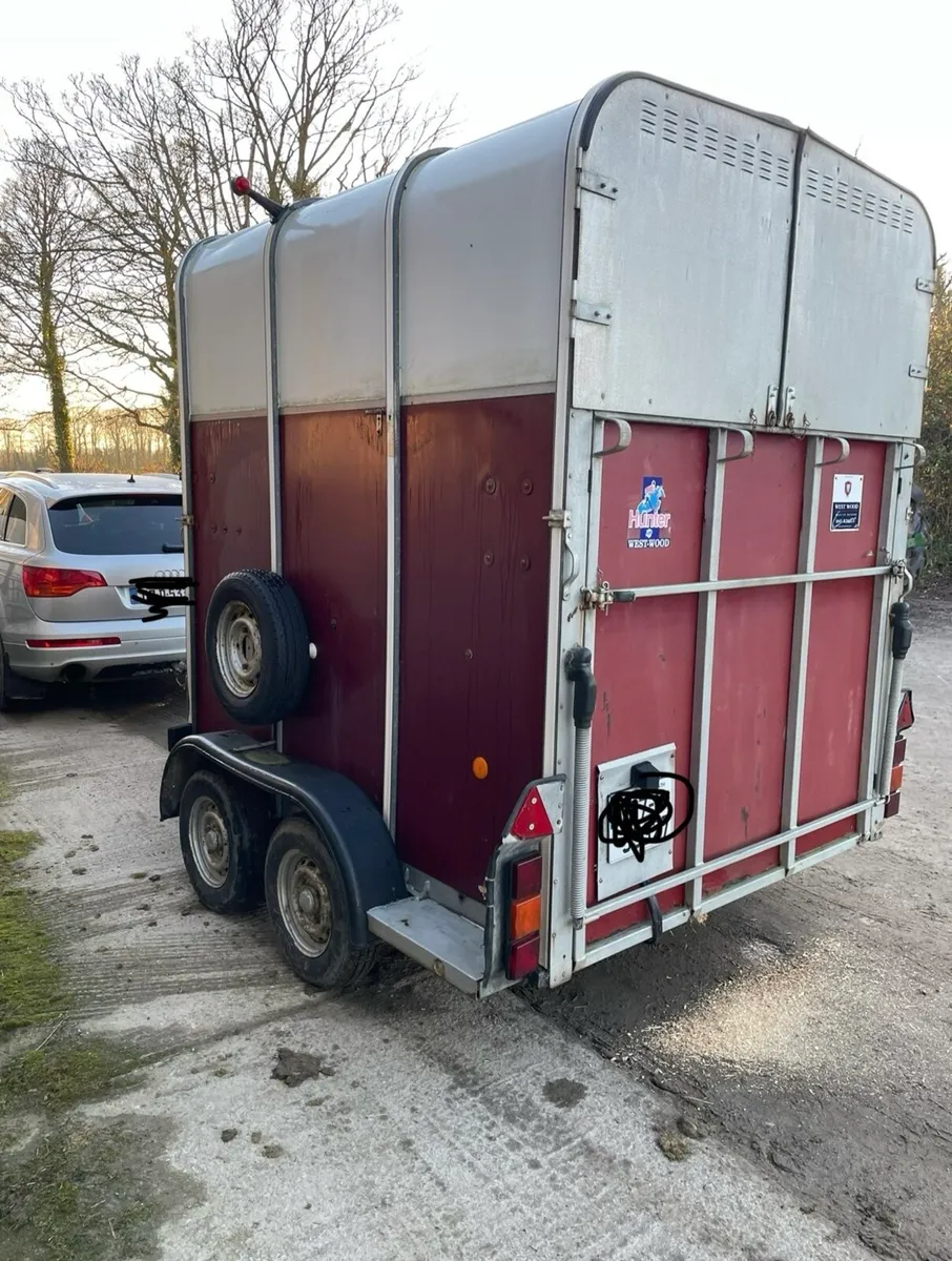 Ifor Williams 510 HORSE BOX - Image 1