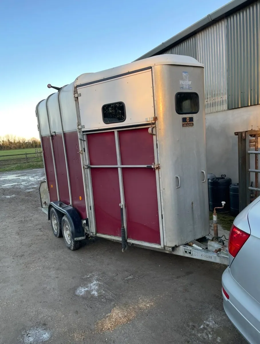 Ifor Williams 510 HORSE BOX - Image 2
