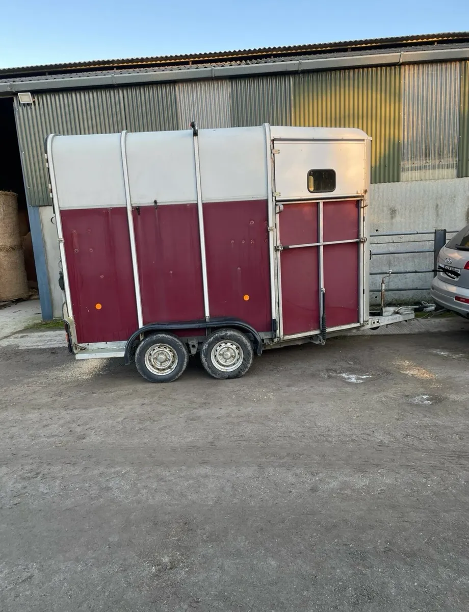 Ifor Williams 510 HORSE BOX - Image 3