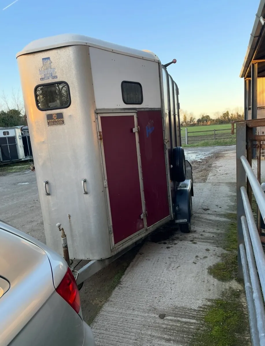 Ifor Williams 510 HORSE BOX - Image 4