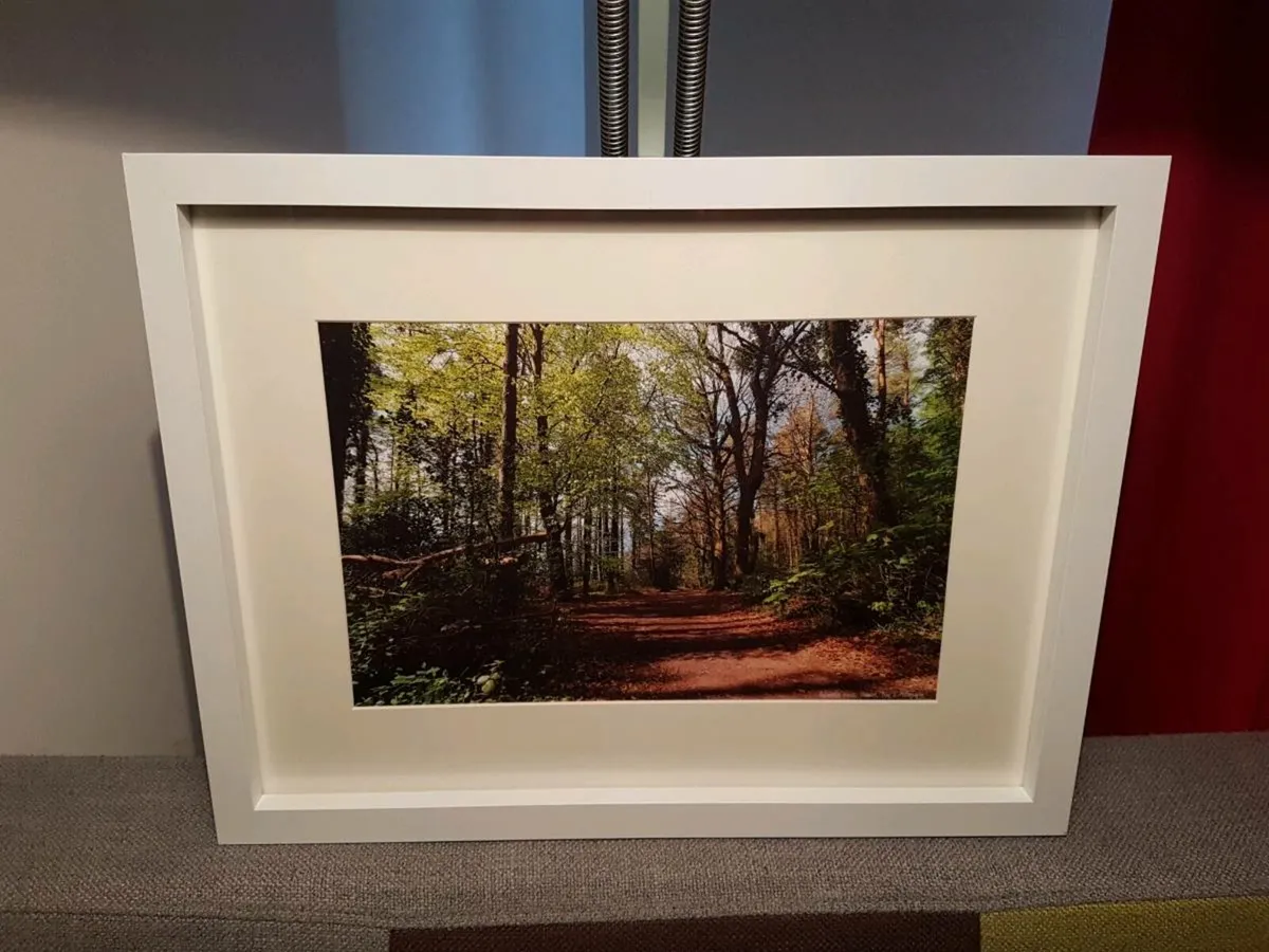 Ballyannan Woods, Midleton - Image 4