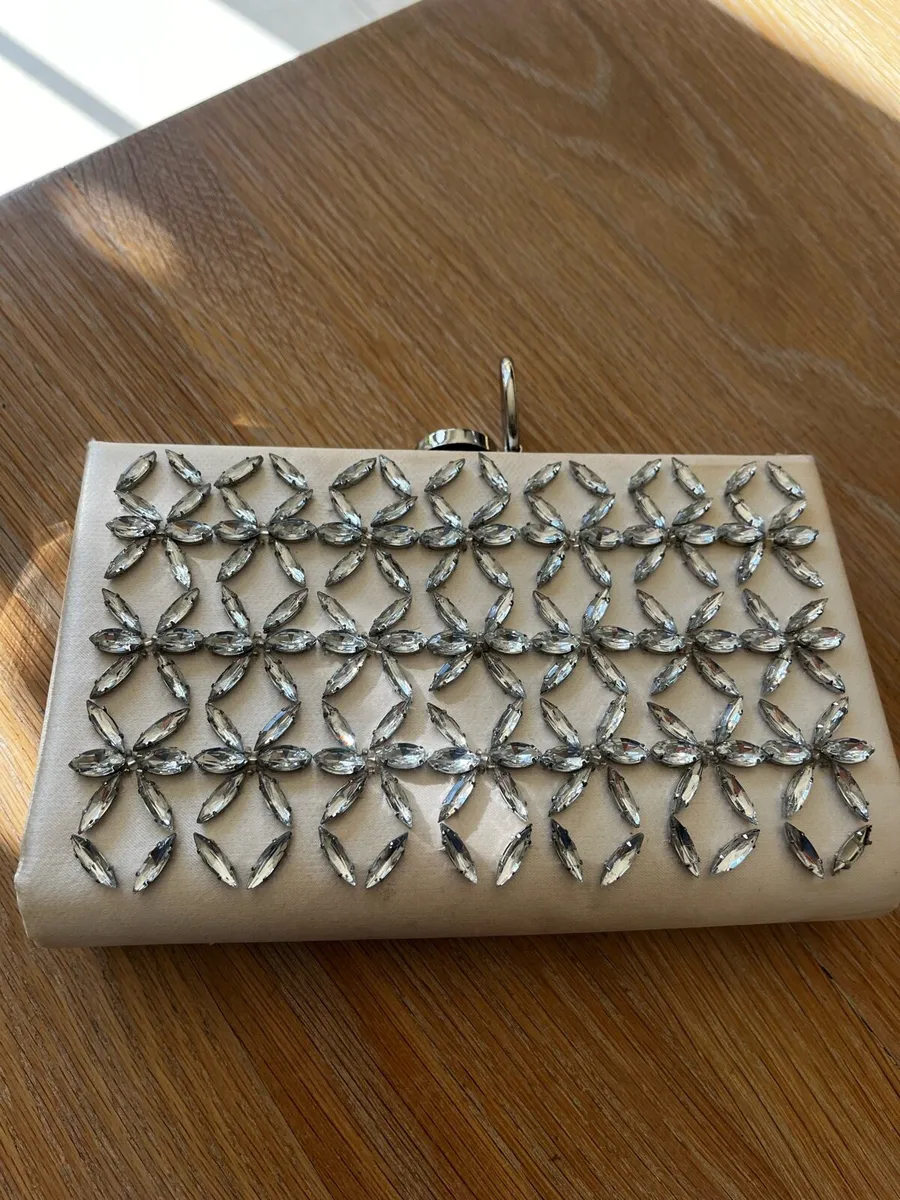 Ted Baker Clutch Bag - Image 1
