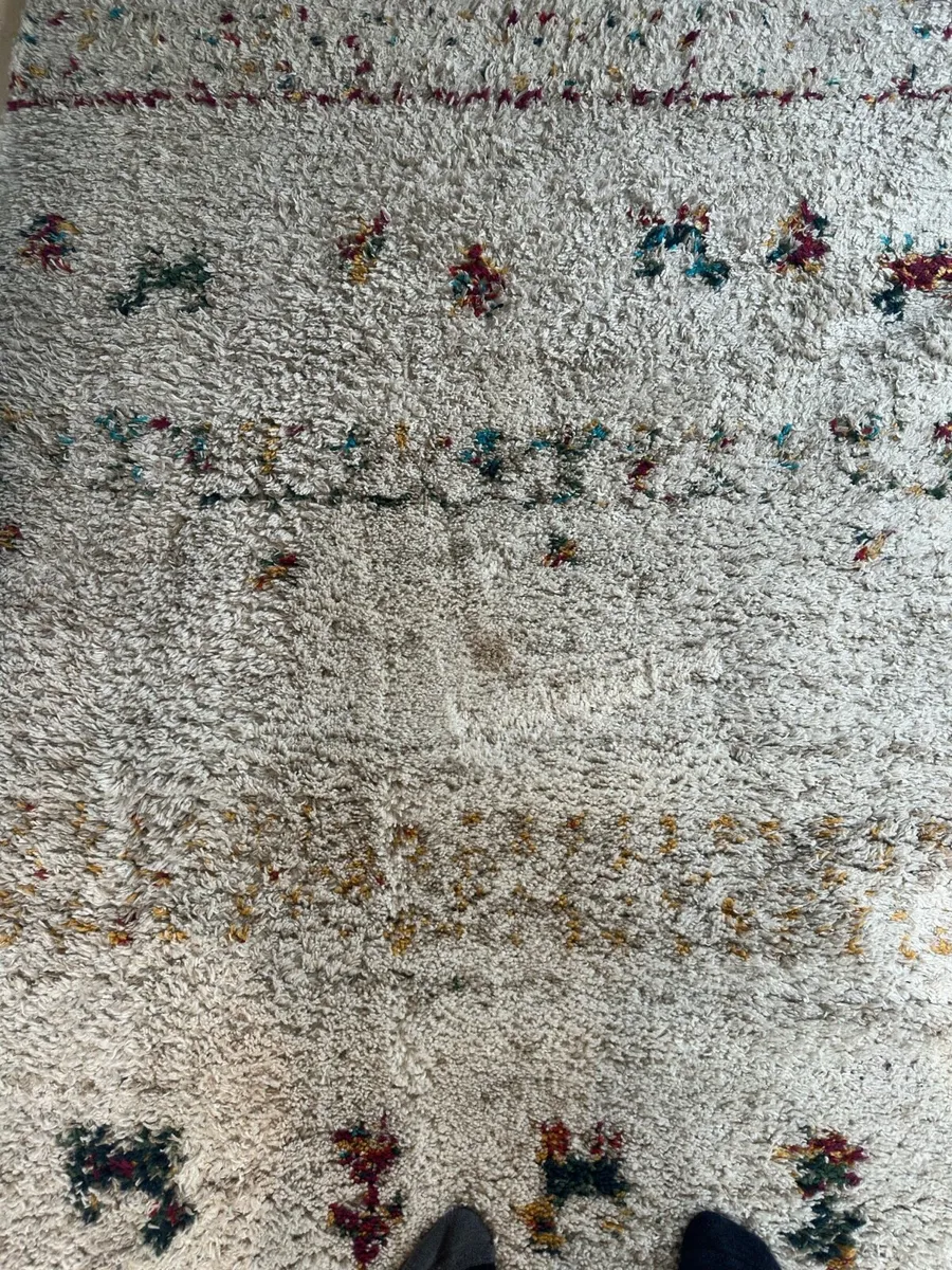 Large Rectangle Cream Rug - Image 3