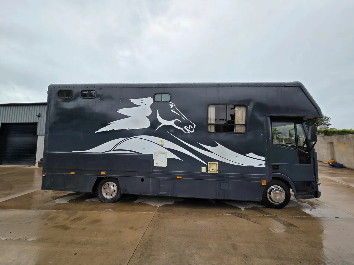 Iveco horsebox, horse lorry - Image 3