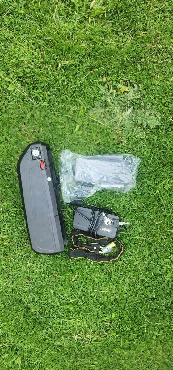 2000W Electric Bike - Image 3