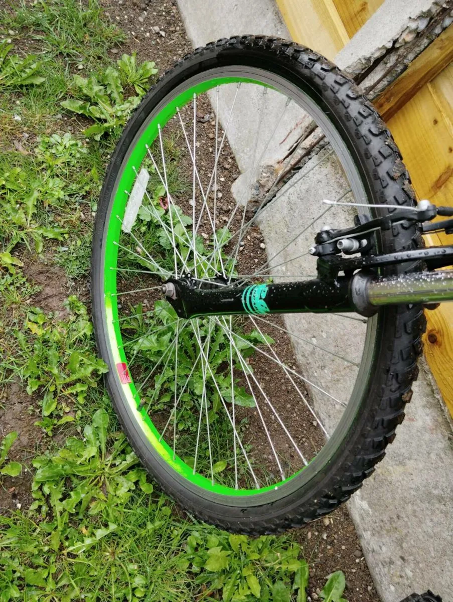 26 Inch leopard bike - Image 3