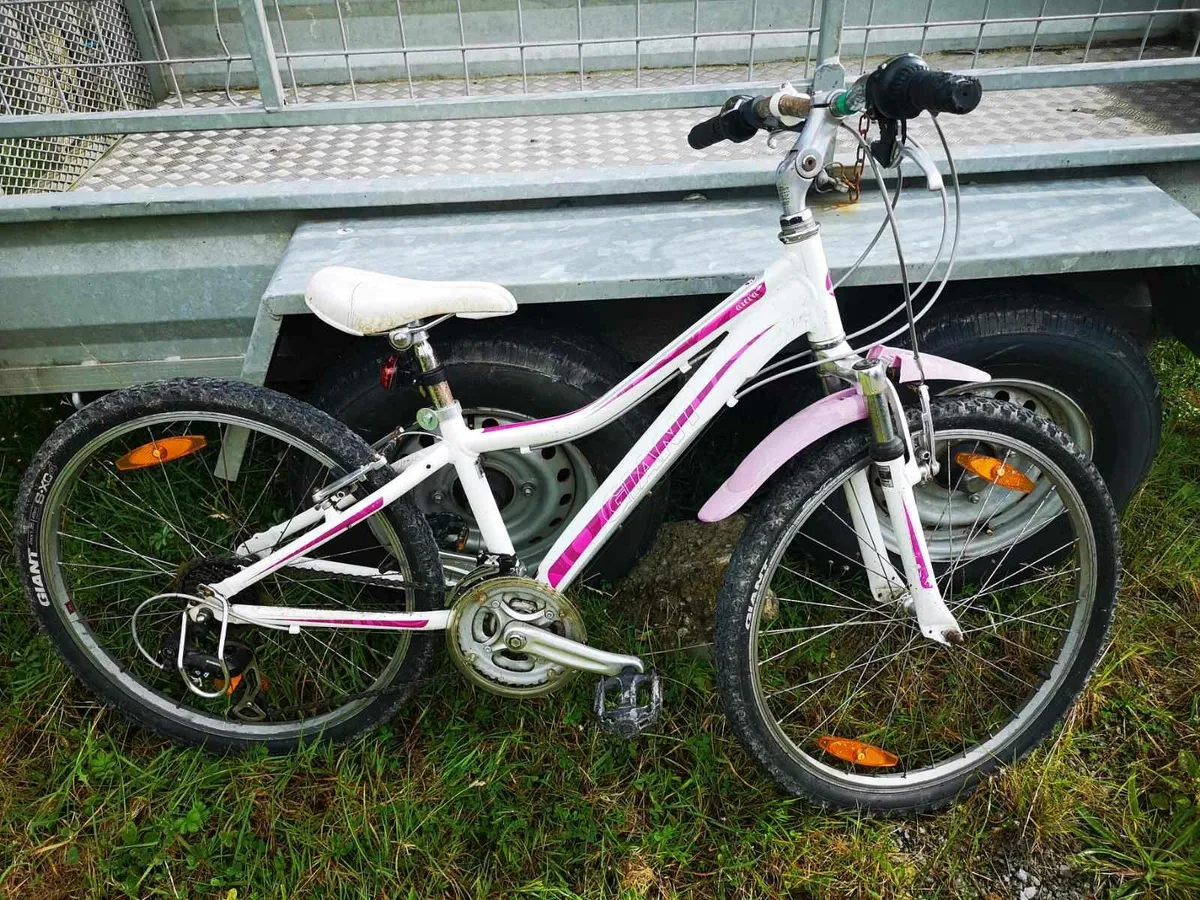 Bicycle - Image 4