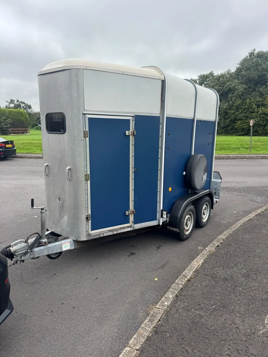 Ifor Williams HB 505 Horse box - Image 2