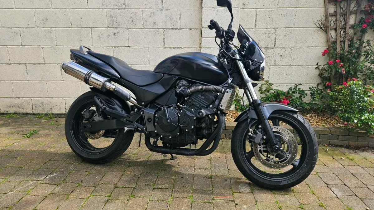 Honda hornet 600 - Image 1