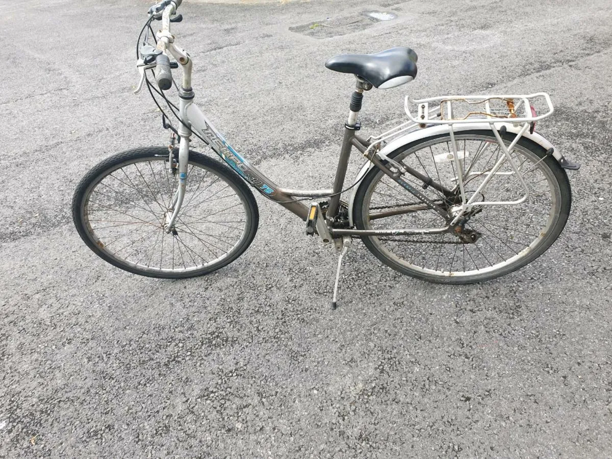 ADULTS BIKE - Image 1