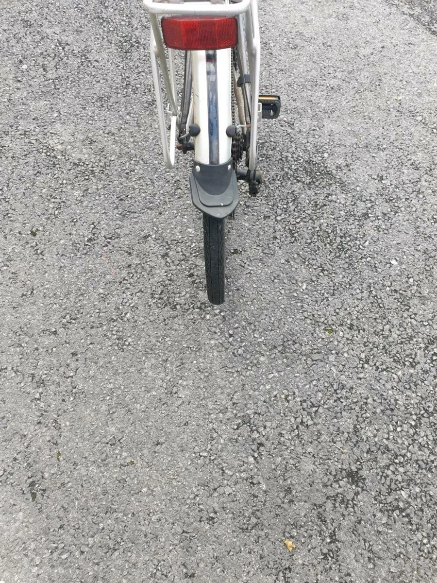 ADULTS BIKE - Image 4