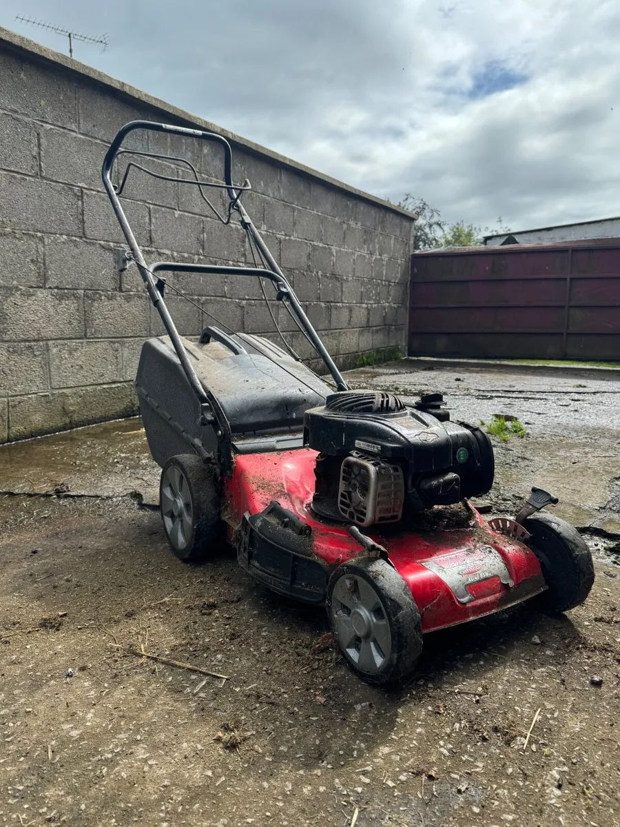 Lawn mower - Image 1