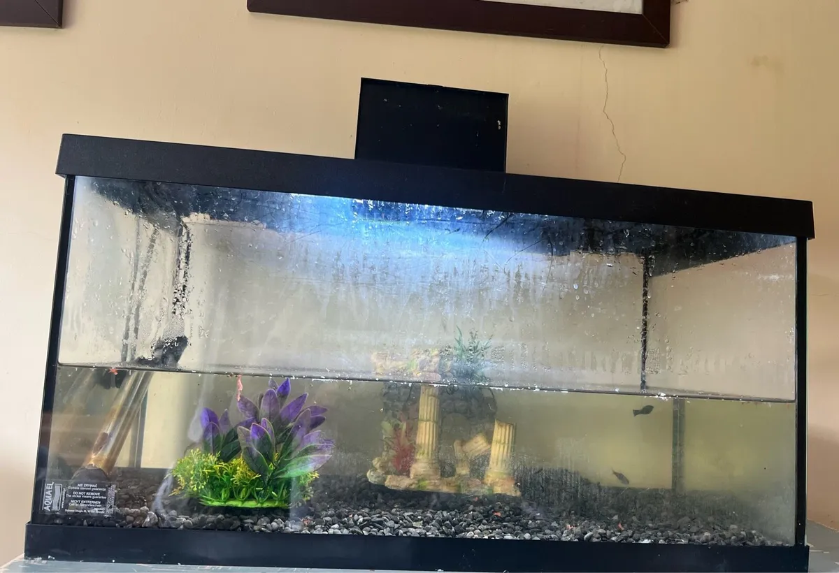 Fish tank - Image 1