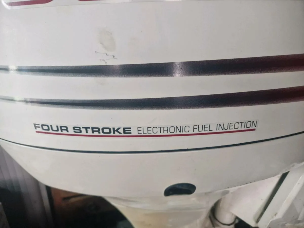Johnson 40hp four stroke - Image 3