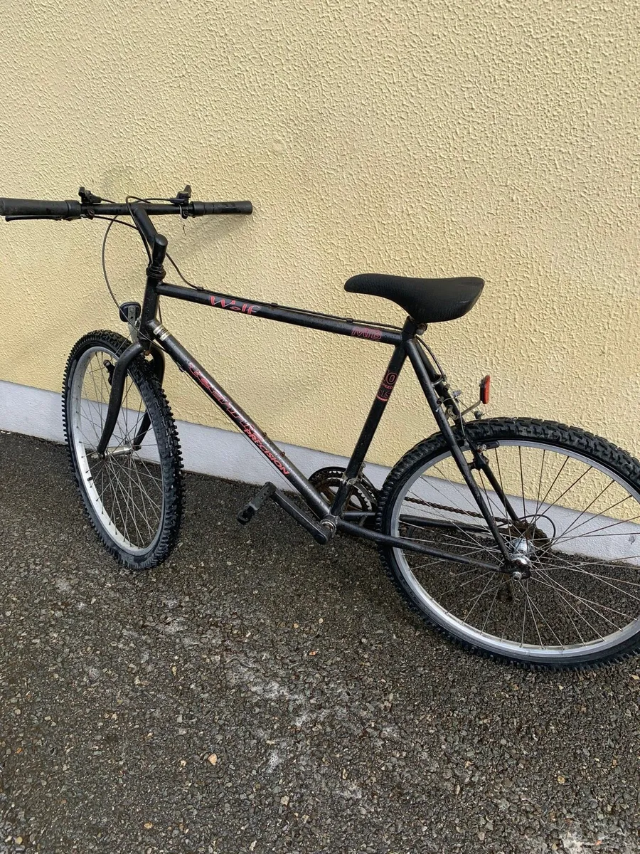 Mountain Bike - Image 1
