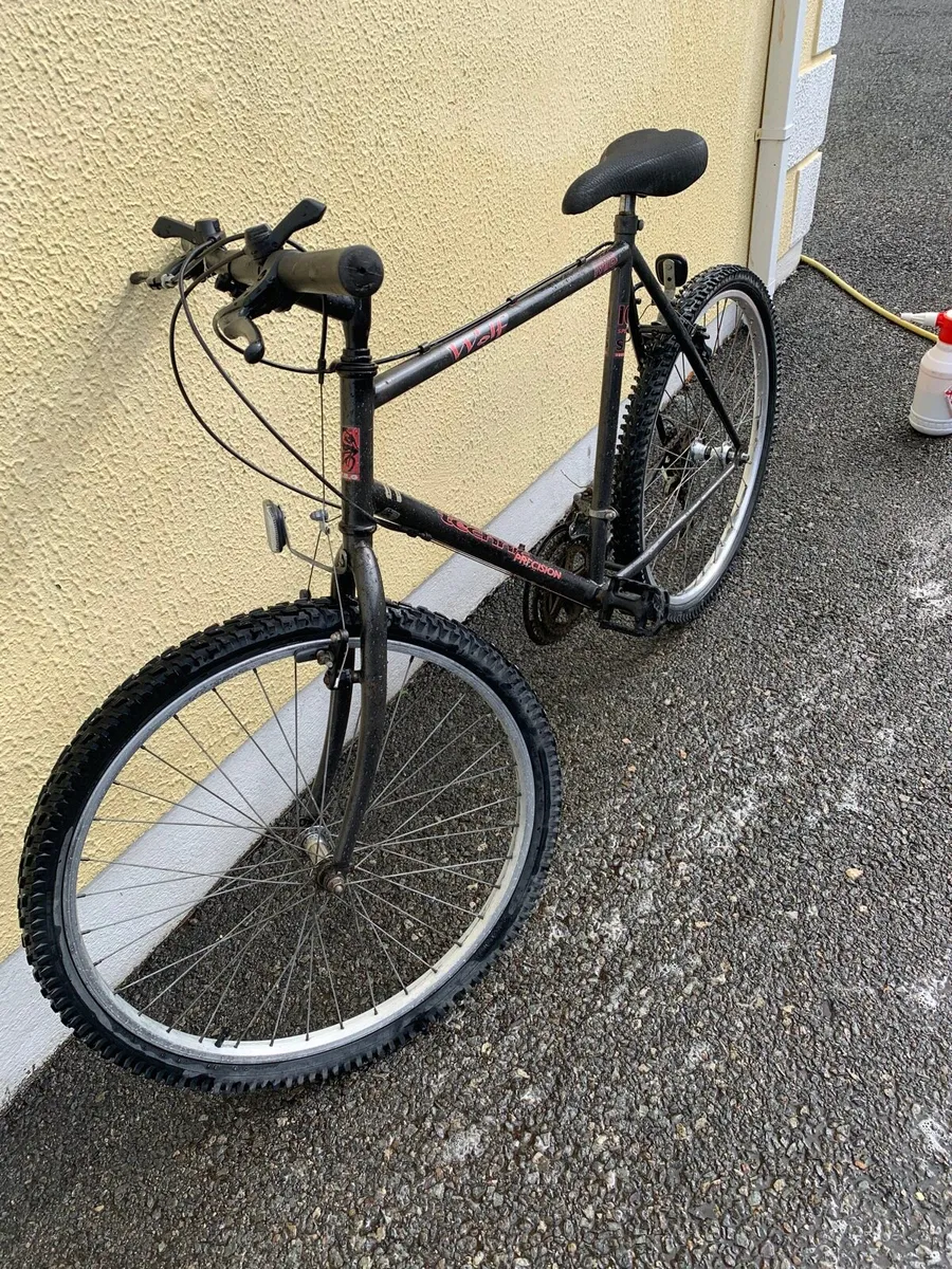 Mountain Bike - Image 3