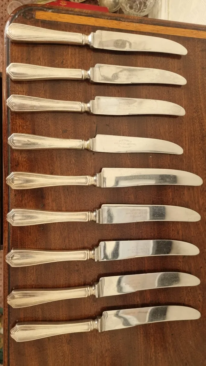Vintage Newbridge Dinner Knife Set - Image 1