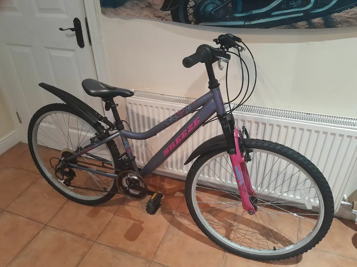 Bicycle - Image 4