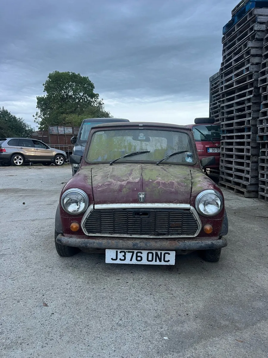 Mini - Image 1