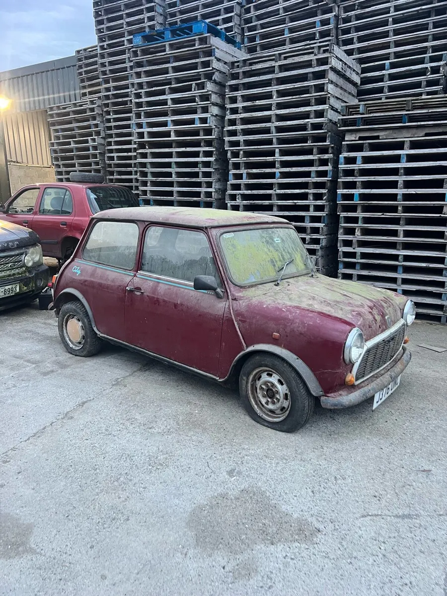 Mini - Image 2