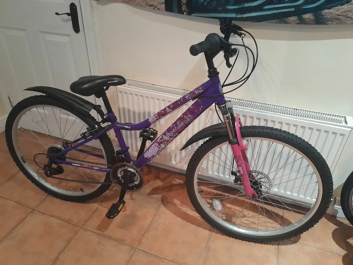 Bicycle - Image 3