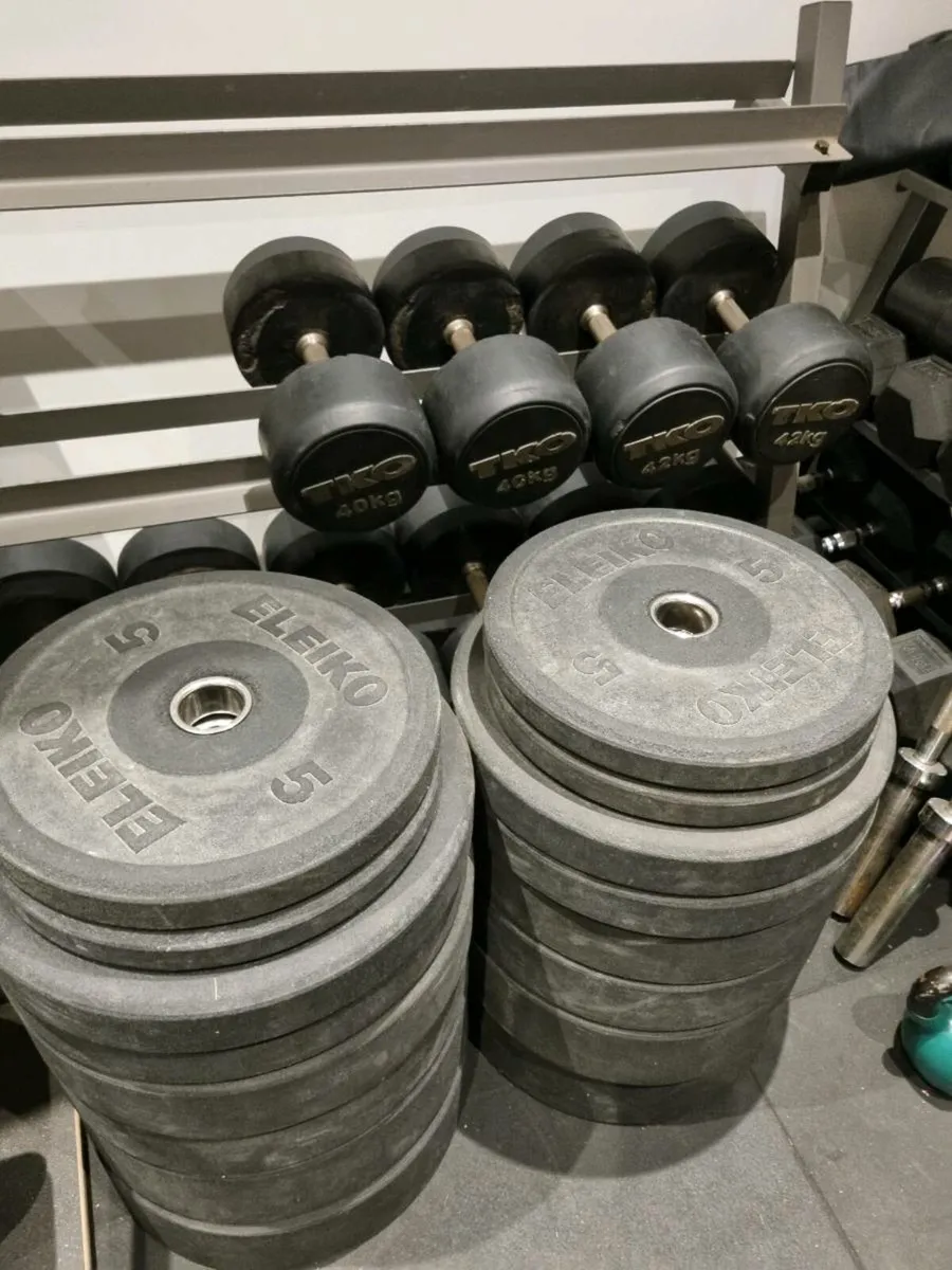 Gym equipment Olympic bumper weights - Image 3
