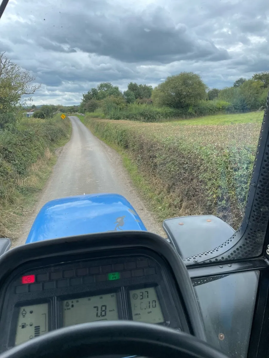 Hedge cutting - Image 2