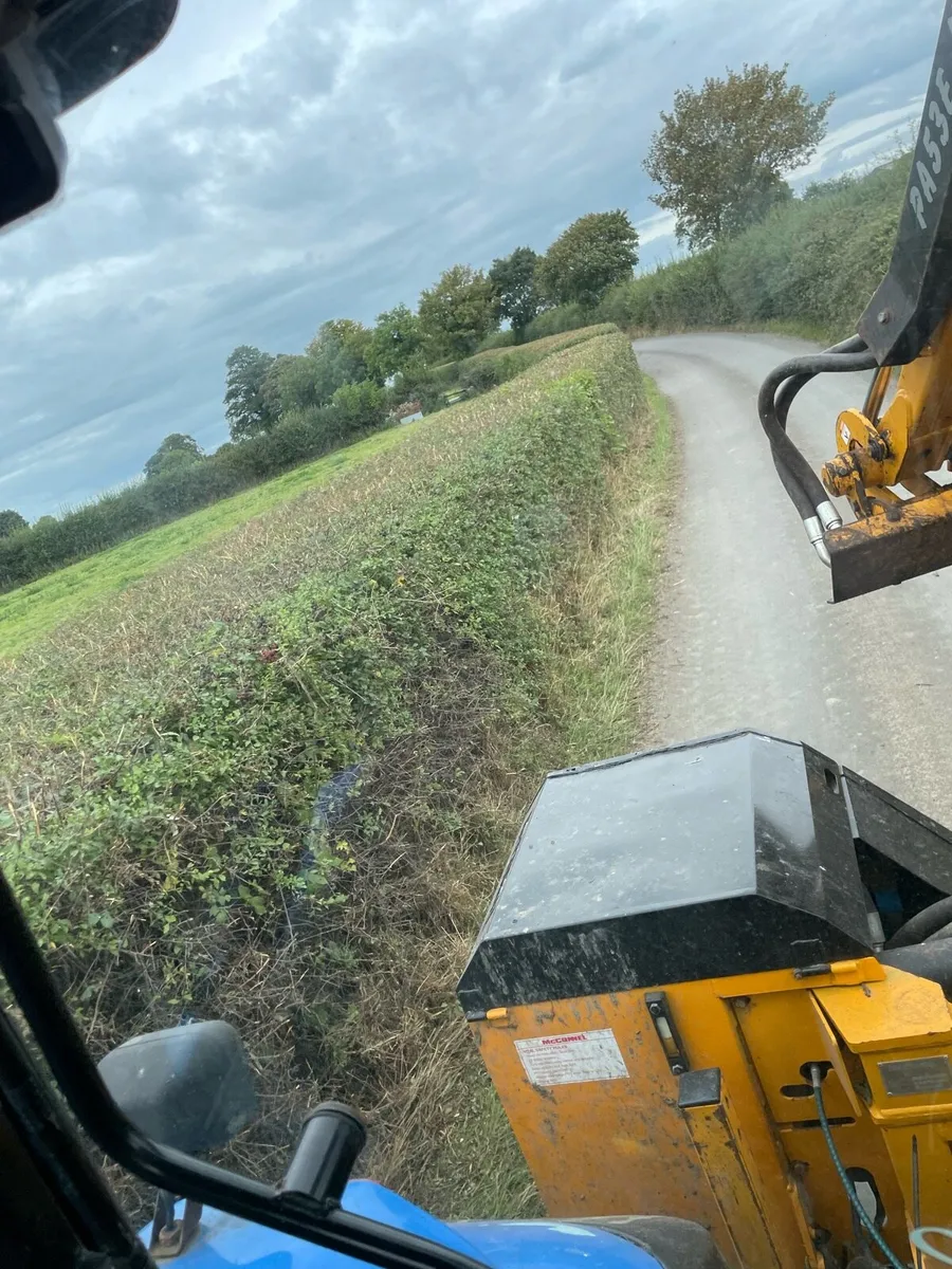 Hedge cutting - Image 3