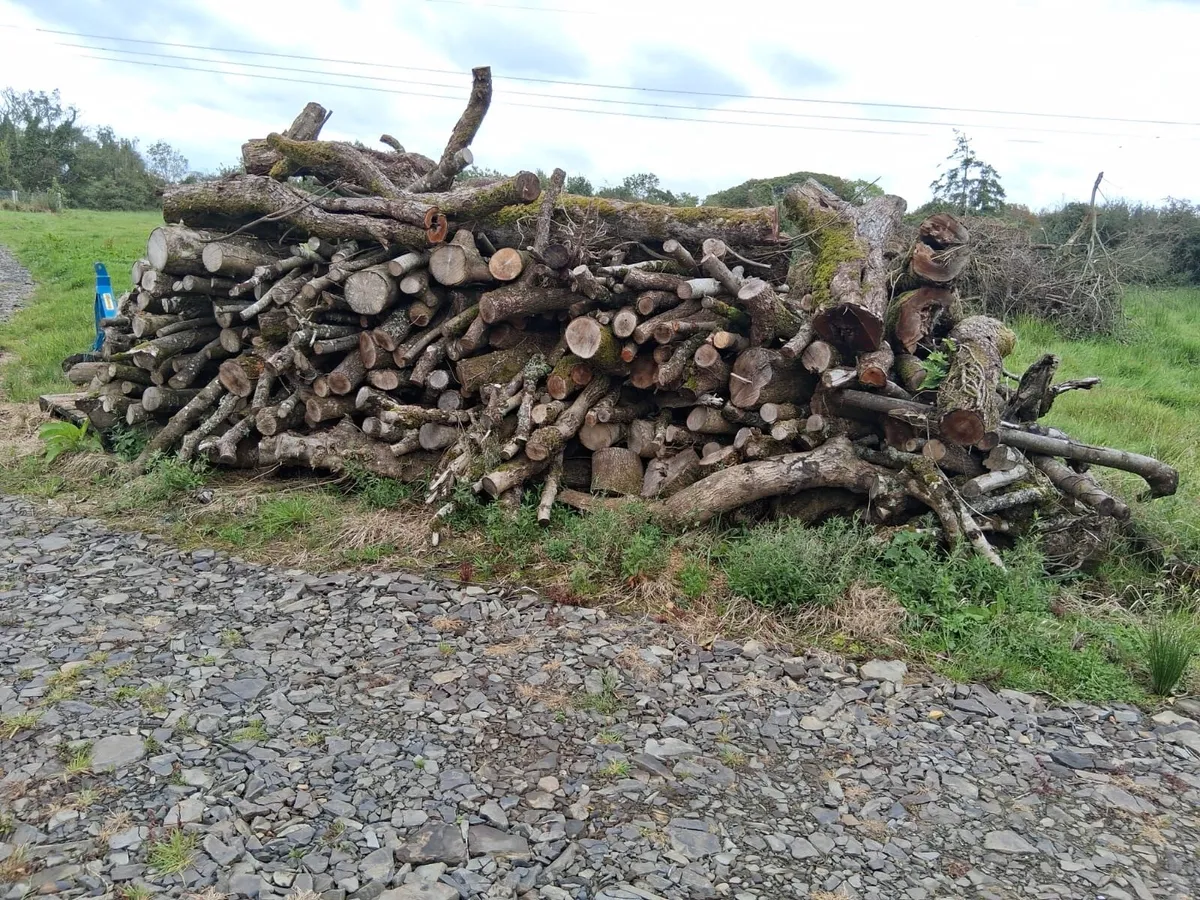Firewood in lengths - Image 1