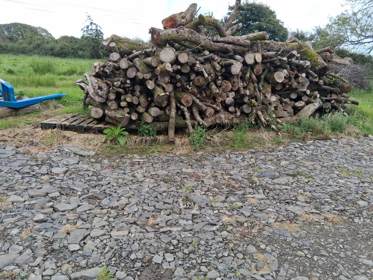 Firewood in lengths - Image 2