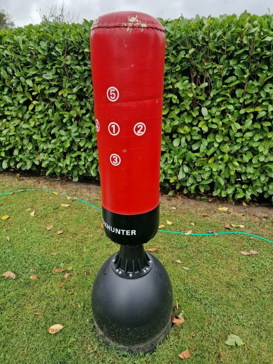 Punch boxing bag freestanding - Image 2