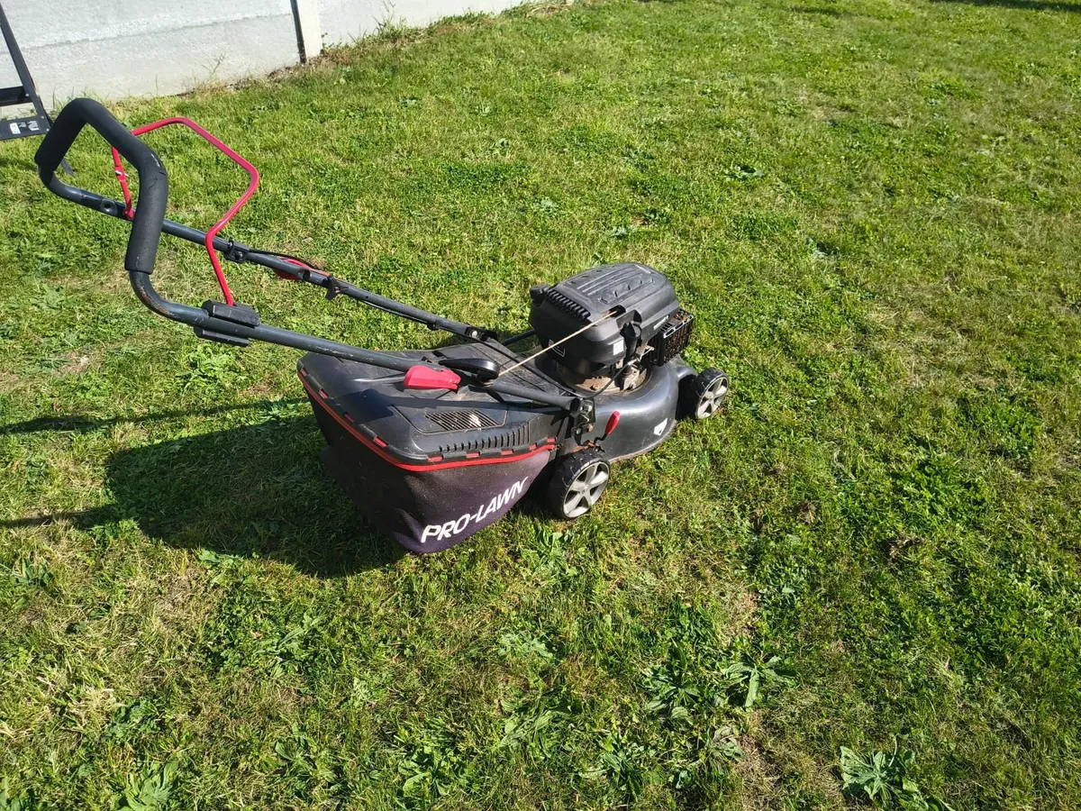Lawnmower petrol - Image 2