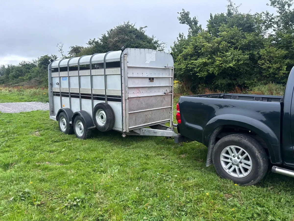 12 by 6 Iforwilliams cattle trailer - Image 1