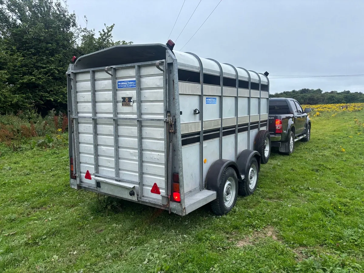 12 by 6 Iforwilliams cattle trailer - Image 2