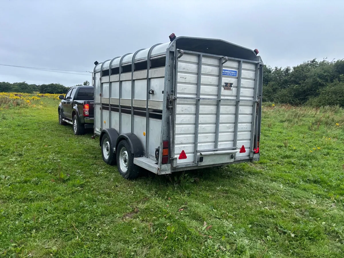 12 by 6 Iforwilliams cattle trailer - Image 3