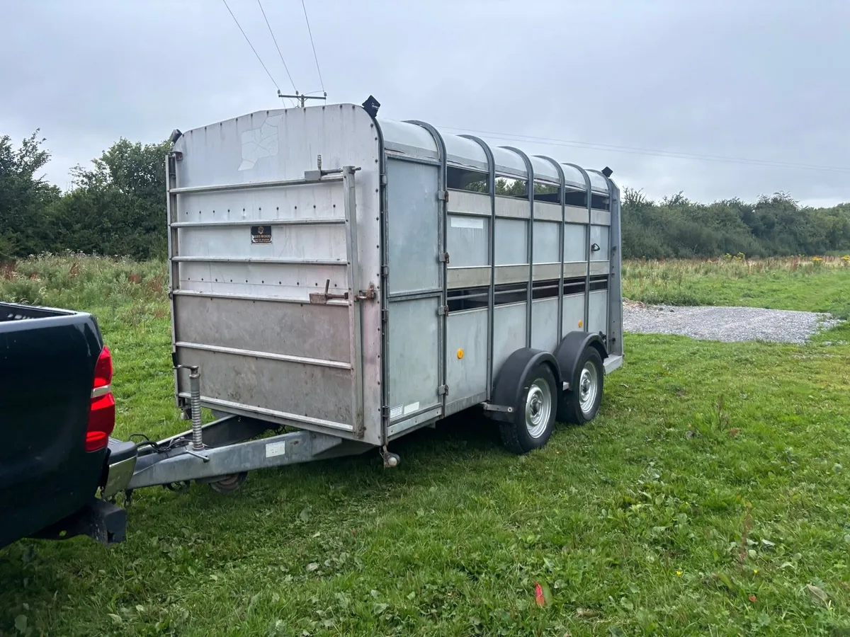 12 by 6 Iforwilliams cattle trailer - Image 4