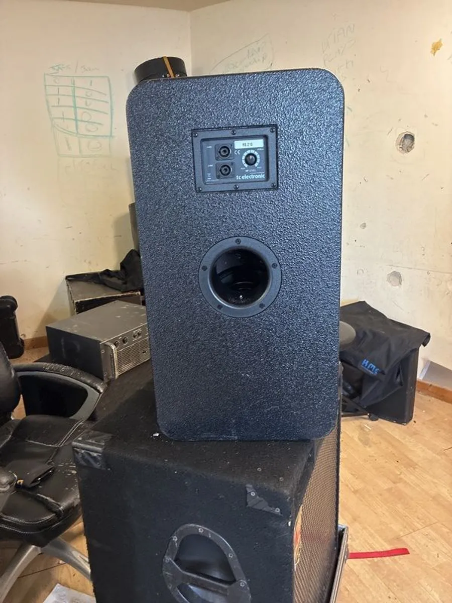 bass - Image 2