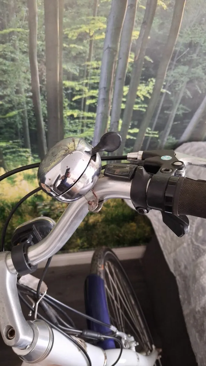 Ladies ebike - Image 4