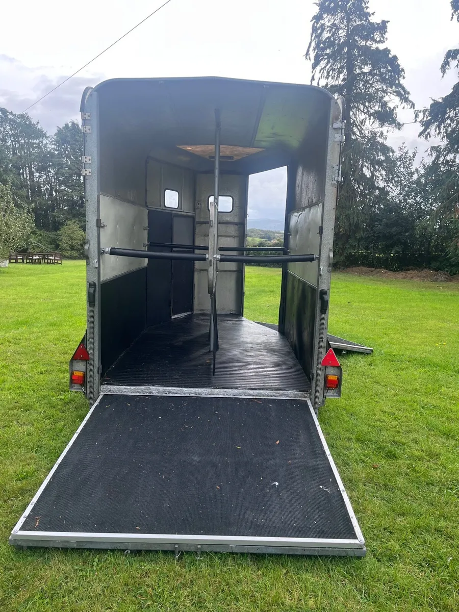 Ifor williams double Horsebox - Image 3