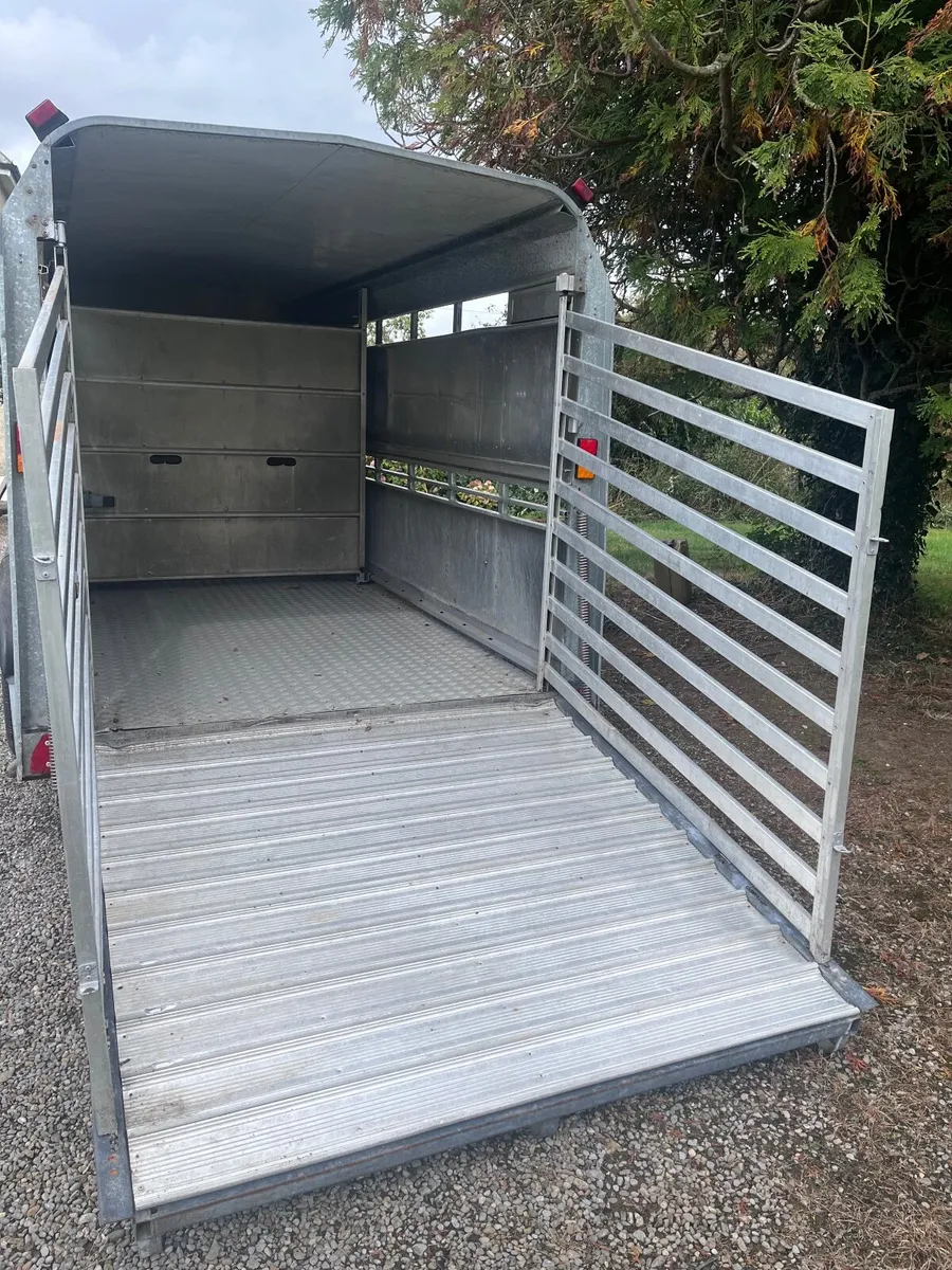 Ifor williams cattlebox - Image 4