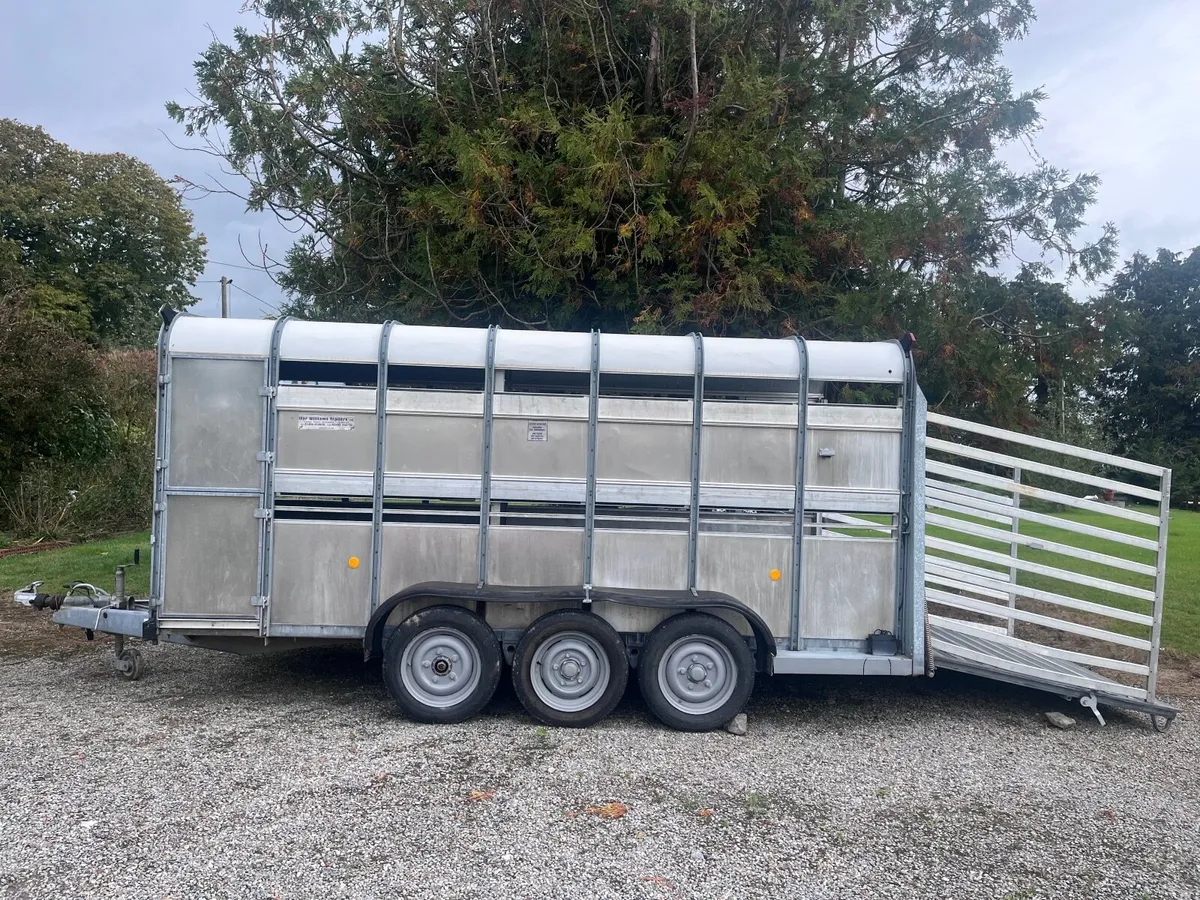 Ifor williams cattlebox - Image 1